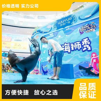 南安市分公司 專(zhuān)業(yè)出租表演鸚鵡，打造難忘動(dòng)物展覽體驗(yàn)